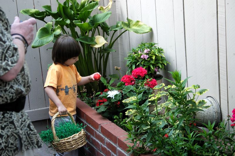 CRW_0229