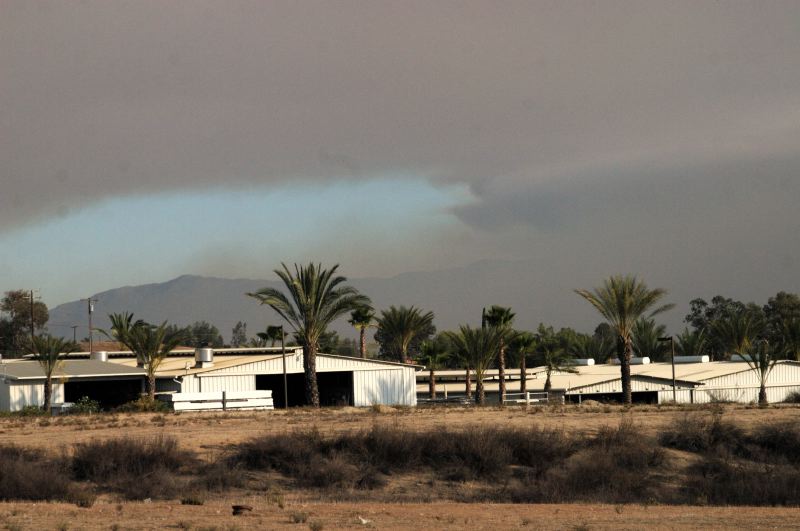 CRW_1625