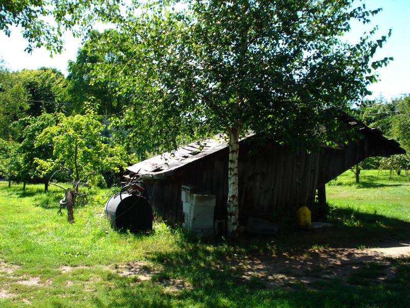 DSC00514