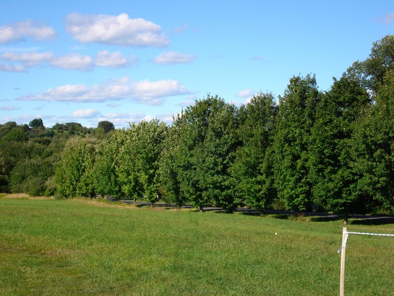 DSC00591
