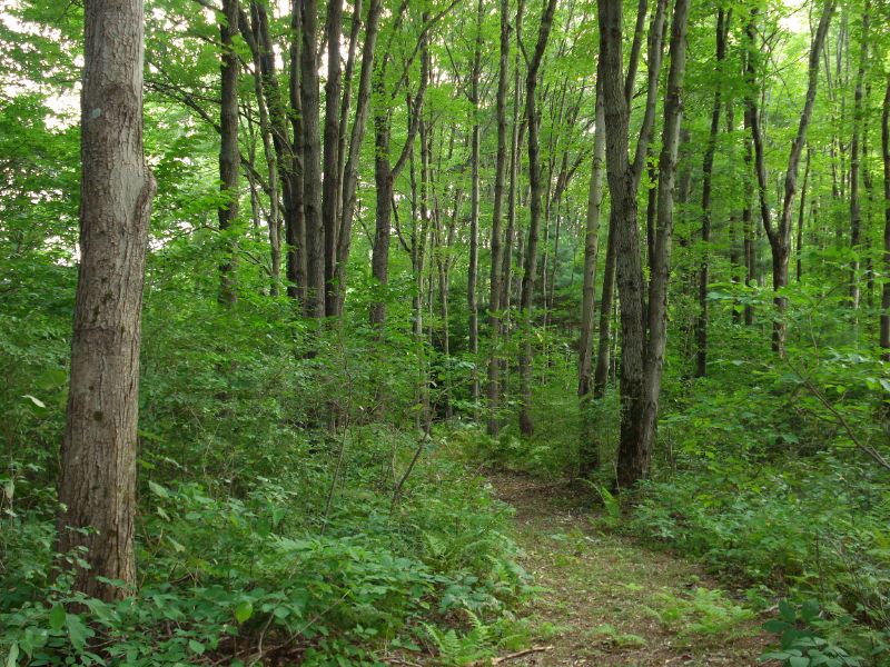 DSC00605