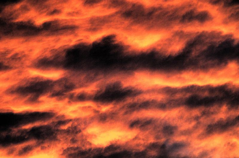 CRW_2503