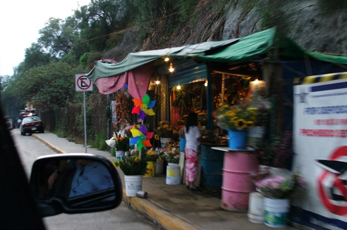 CRW_0560