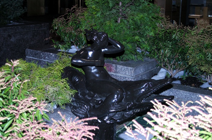 CRW_0050