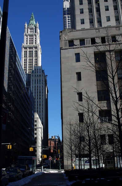 CRW_9585