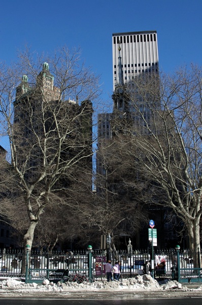 CRW_9591