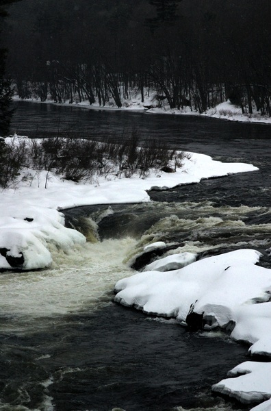 CRW_9798