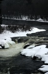 CRW_9798