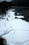 CRW_9804