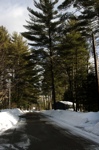 CRW_9821