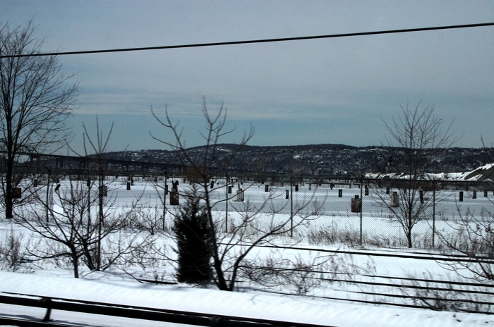 CRW_9777