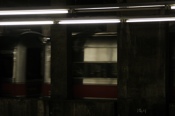 CRW_9395