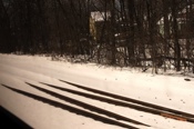 CRW_9845