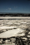CRW_9872