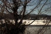 CRW_9875