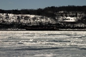 CRW_9880
