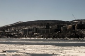 CRW_9890